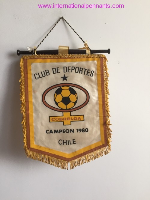 Club de Deportes Cobreloa