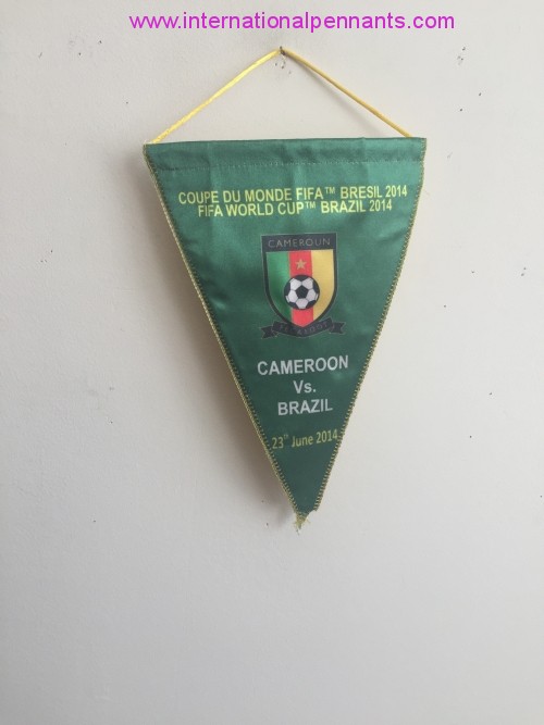 Cameroun Fecafoot