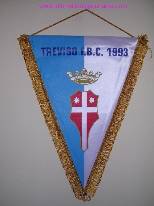 Treviso FBC 1993 1 Internationalpennants