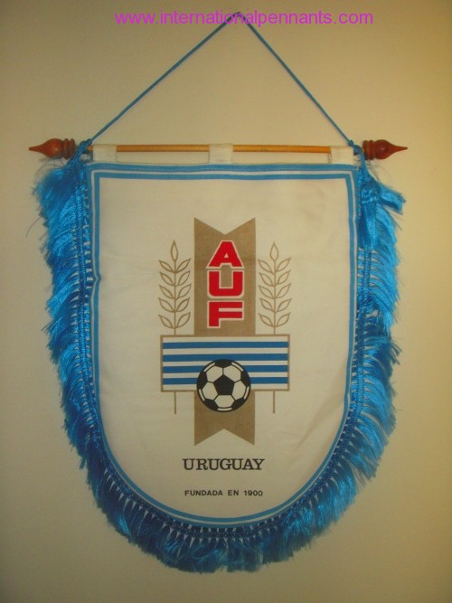 Asociación Uruguaya de Fútbol