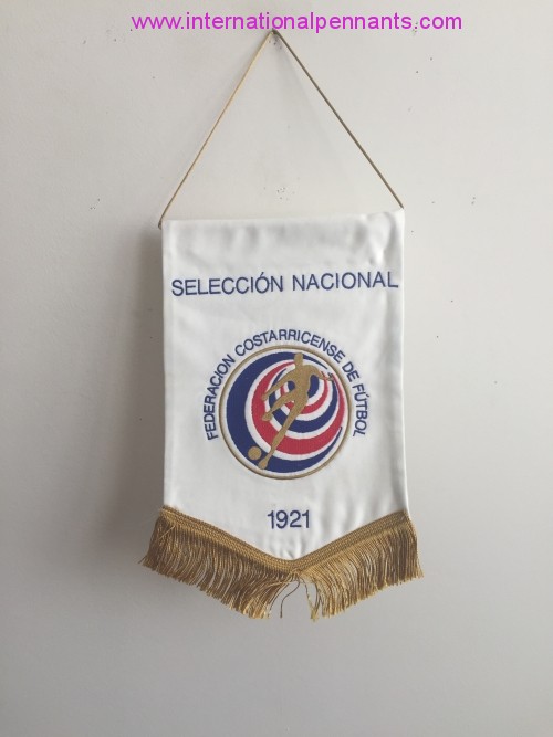 Federación Costarricense de Fútbol