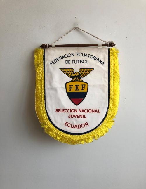 Federación Ecuatoriana de Fútbol