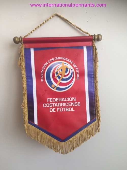 Federación Costarricense de Fútbol
