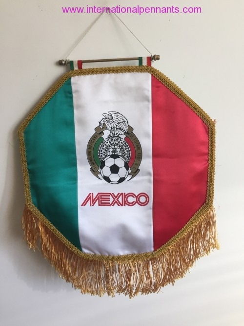 Federación Mexicana de Fútbol Asociación 5